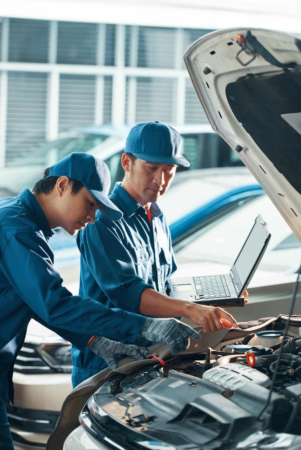 Comment détecter les signes précoces de cancer chez les chats ?